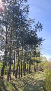 Informacja – zero tolerancji dla chamstwa 20250425 113203 169x300