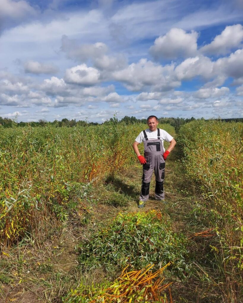 Uczymy się pracy poprzez działanie 792071491 1506721901481812 7339062847811411105 n