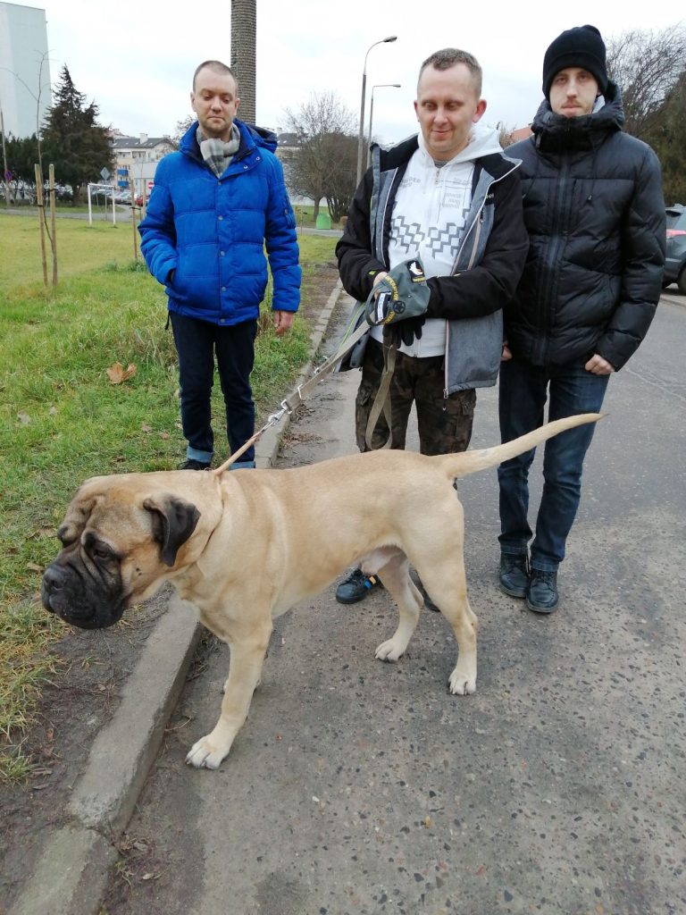 To nie dzieci E 768x1024